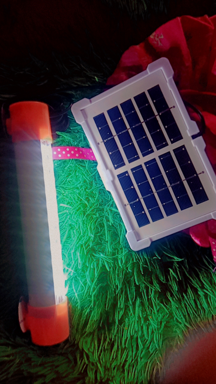 Solar light