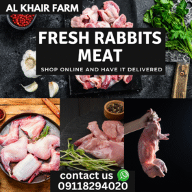 Black-Minimalist-Fresh-Meat-Steak-Instagram-Post_20250811_194158_0000